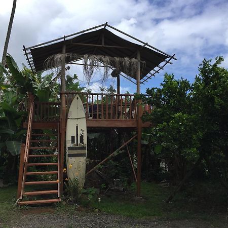 Wild Ginger Inn Hotel & Hostel Hilo Exterior photo