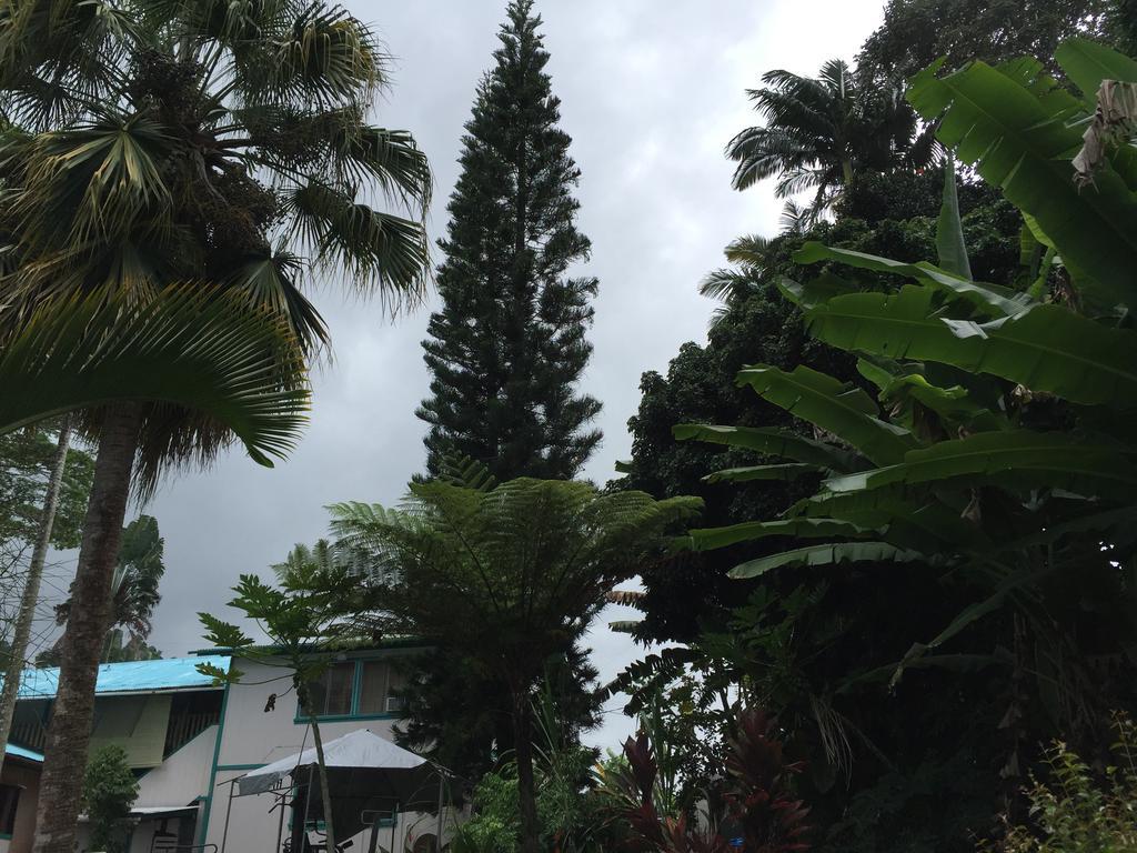 Wild Ginger Inn Hotel & Hostel Hilo Exterior photo