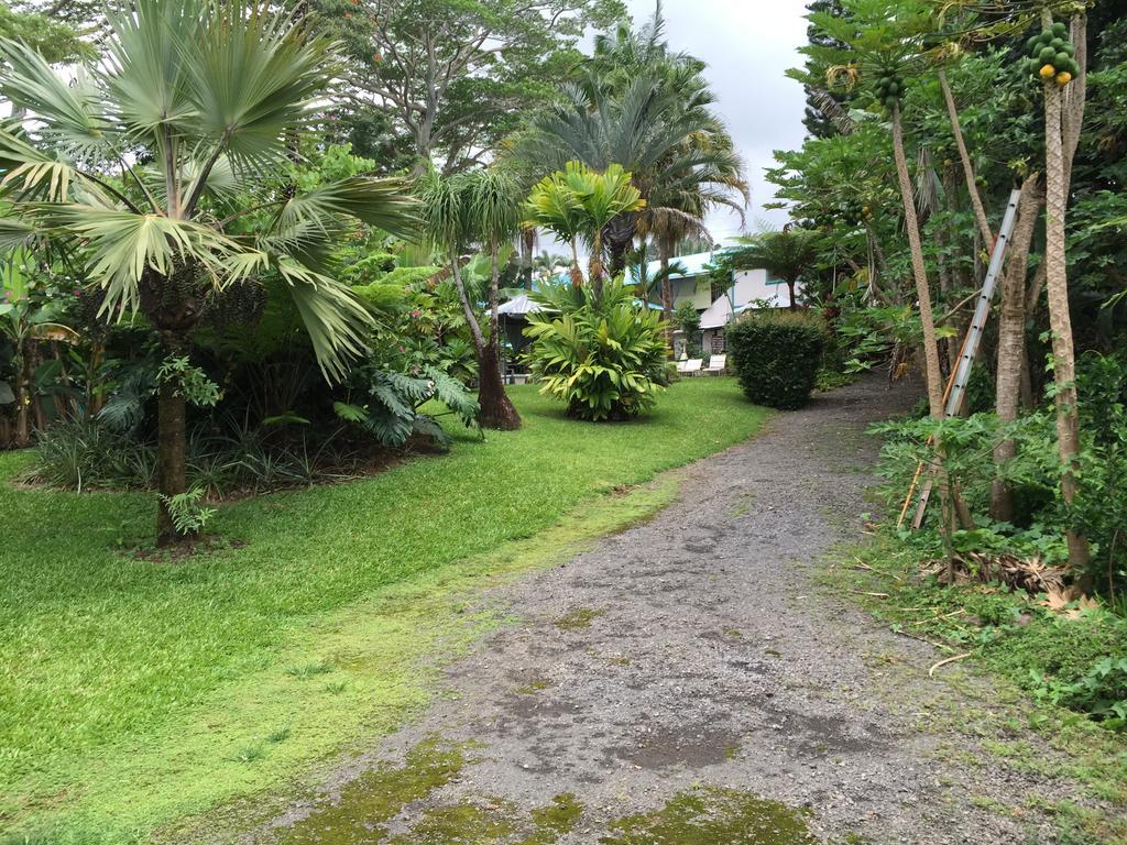 Wild Ginger Inn Hotel & Hostel Hilo Exterior photo