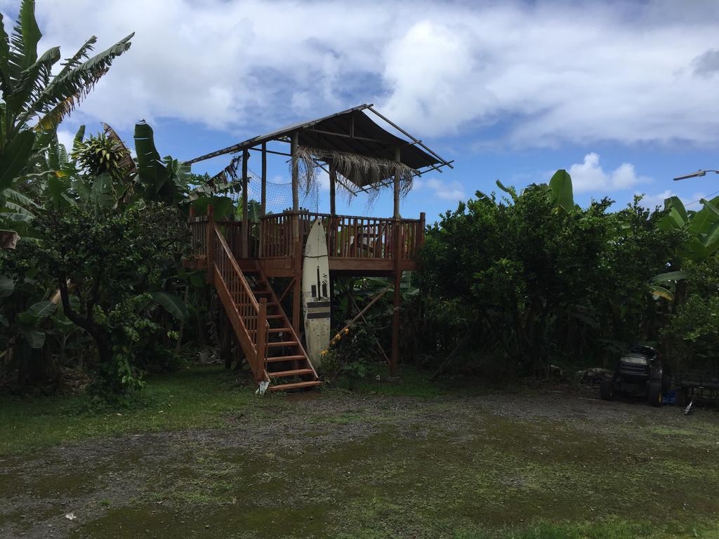 Wild Ginger Inn Hotel & Hostel Hilo Exterior photo