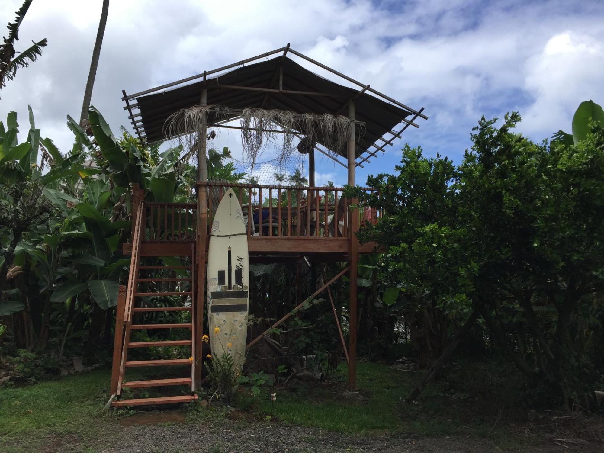 Wild Ginger Inn Hotel & Hostel Hilo Exterior photo
