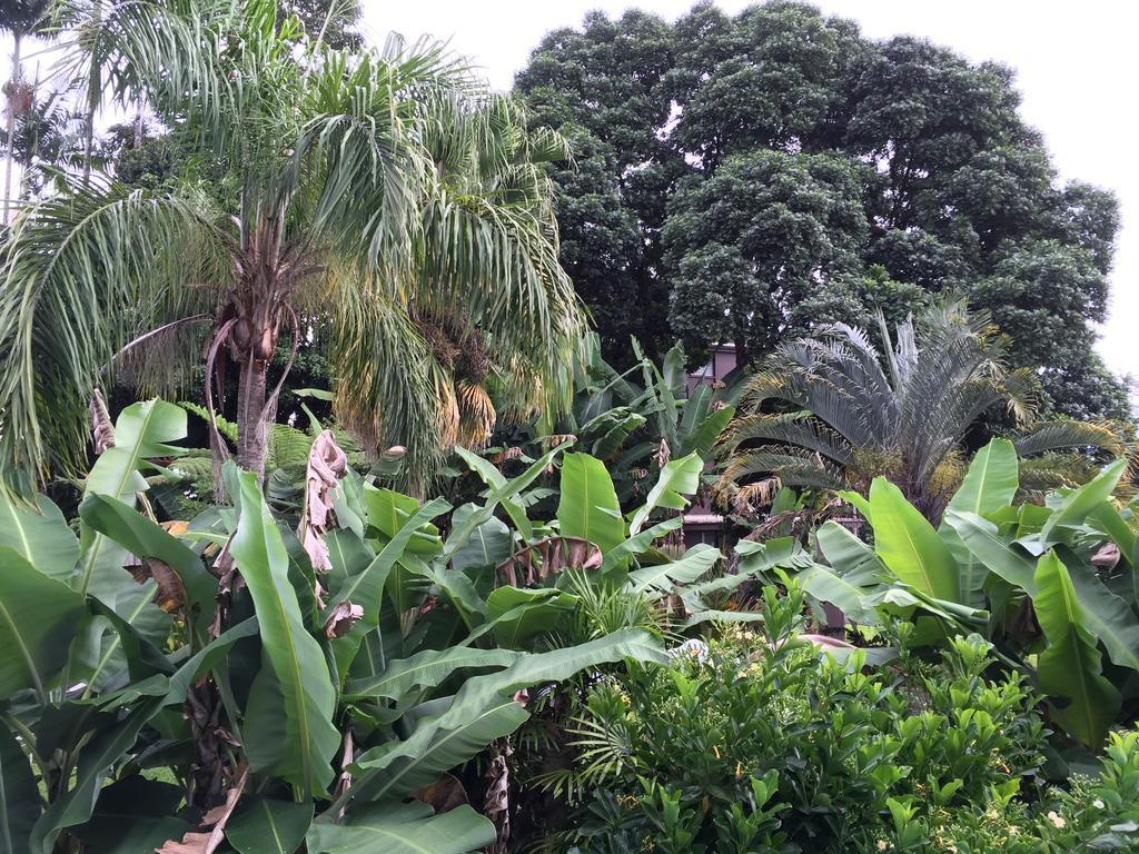 Wild Ginger Inn Hotel & Hostel Hilo Exterior photo