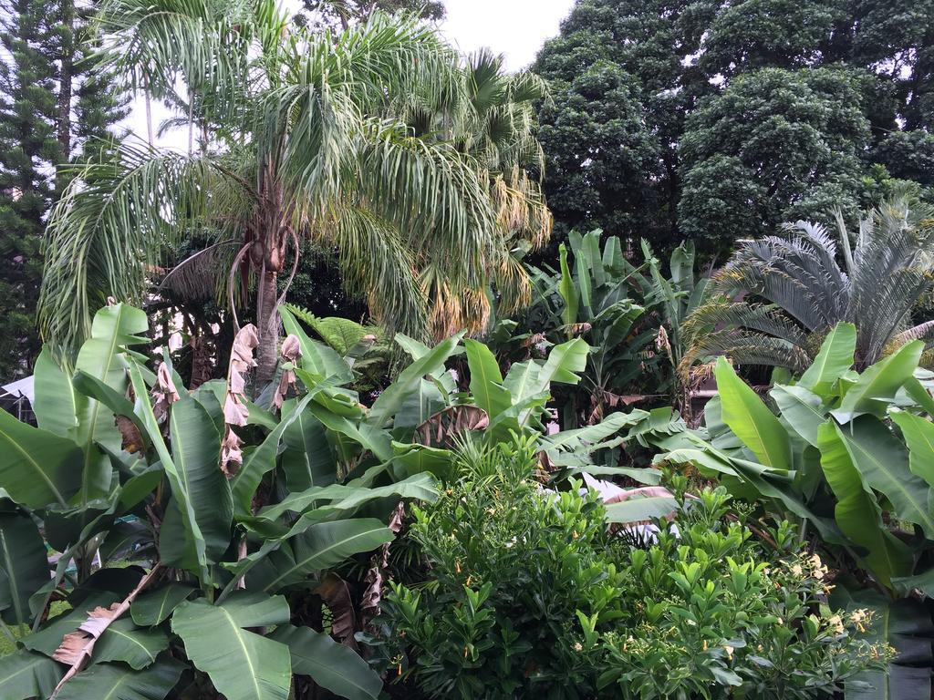 Wild Ginger Inn Hotel & Hostel Hilo Exterior photo