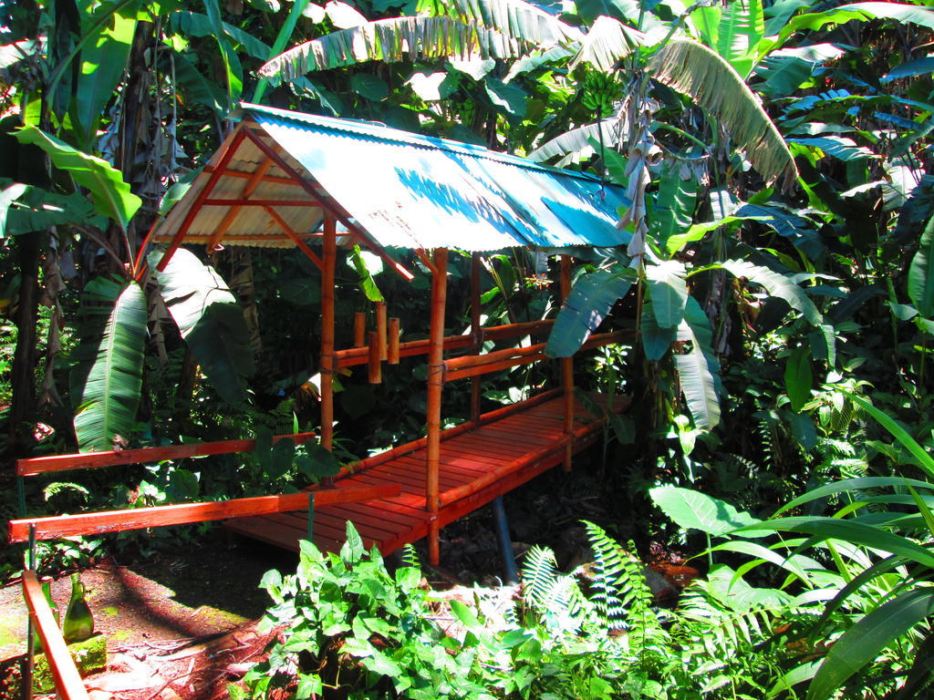 Wild Ginger Inn Hotel & Hostel Hilo Exterior photo