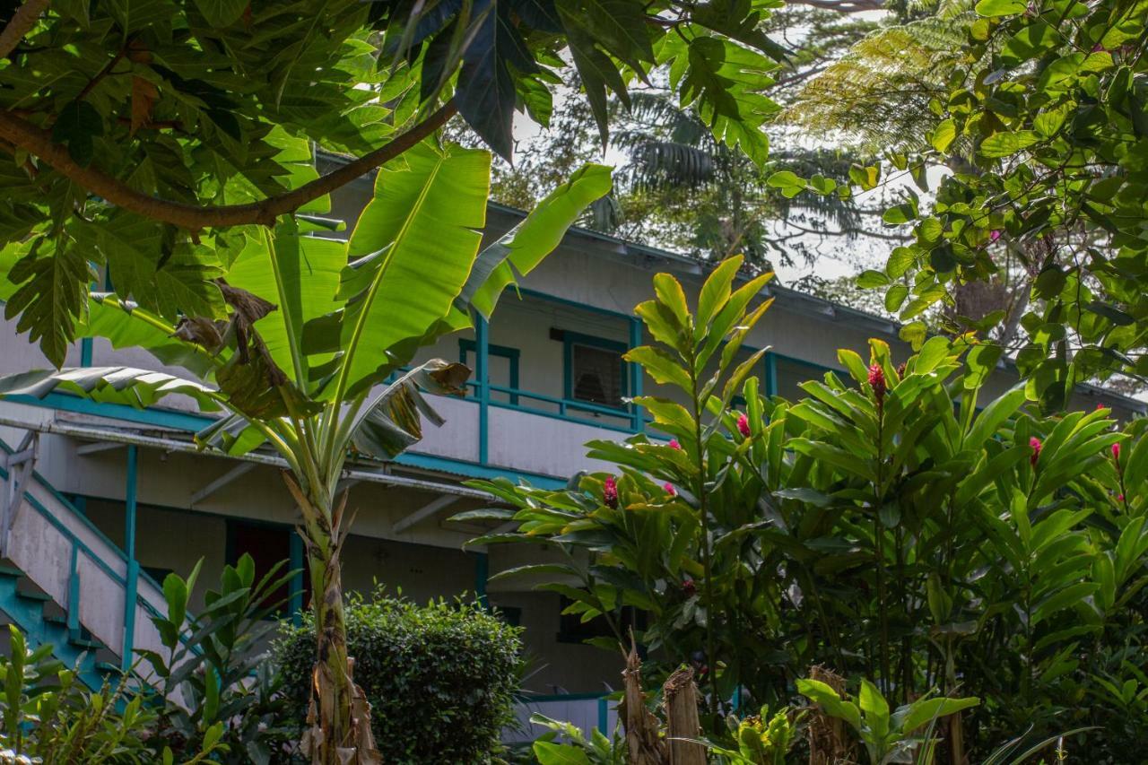 Wild Ginger Inn Hotel & Hostel Hilo Exterior photo